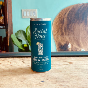 Social Hour Cocktails Gin & Tonic (250mL) Can