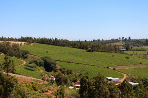 A Los Vinateros Bravos Granitico Cinsault 2022