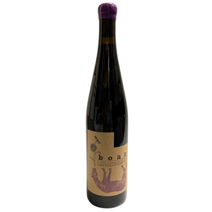 Ruth Lewandowski Boaz Testa Vineyard 2021