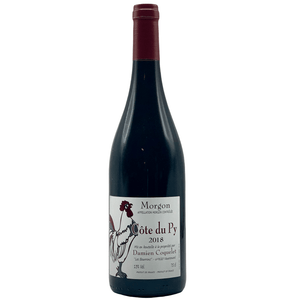 Damien Coquelet Morgon Côte du Py 2018 - wino(t) brooklyn 